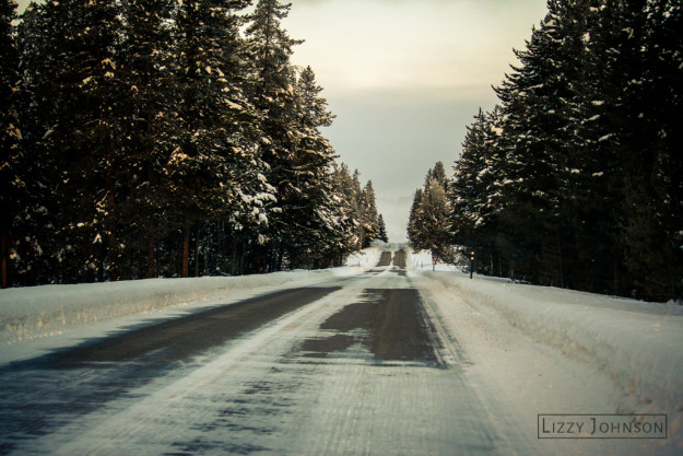LizzyJohnson-Fine-Art-Lonely-Road-Pines