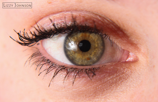 LizzyJohnson-Macro-Fauna-Eye-Iris